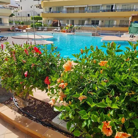 Ocean View Apartment, Costa Adeje,tenerife